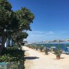 Spiaggia con ombrelloni e mare al sole.