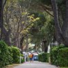 Sentiero alberato con due persone che camminano.