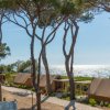 Tende e pini vicino alla spiaggia illuminata dal sole.
