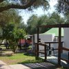 Bungalow con tetto verde tra gli alberi.