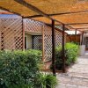Passaggio esterno con pergolato e piante.