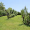 Giardino verde con alberi e cespugli sotto il cielo azzurro.
