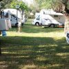 Camper parcheggiati in un'area verde ombreggiata.