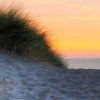 Sentiero tra dune di sabbia al tramonto.