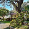 Una casa mobile in un campeggio, circondata da alberi e arbusti fioriti.