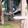 Parco con un'amaca, bici per bambini e un cartello che indica 