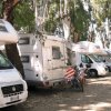 Roulotte bianche parcheggiate sotto alberi in un'area di sosta.