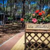 Camping Internazionale Etruria (GR) Toscana