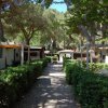 Camping Feniglia (GR) Toscana