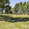 Camping Village Free Time (LI) Toscana