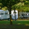 Camper parcheggiati tra gli alberi.