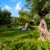 Giardino rigoglioso con alberi e aiuole fiorite.