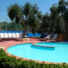 Piscina circondata da lettini e alberi.