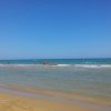 Spiaggia con mare calmo e cielo sereno.