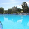 Piscina azzurra con lettini e palme.