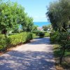 Sentiero con alberi e vista sul mare.